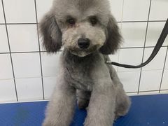 -沐沐家宠物(成寿寺店)