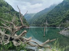 -叠溪松坪沟景区