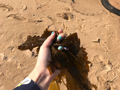 -海驴岛(荣成市)