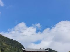 -黔灵山公园