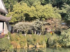 -杭州黄龙洞