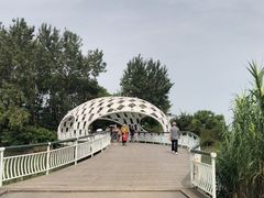 -同里国家湿地公园