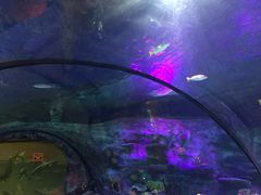 -沈阳海洋探索中心