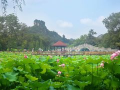 -雀儿山公园