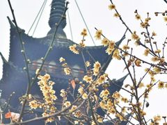 -上海方塔园