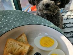 -派特宠物医院(圆融广场店)