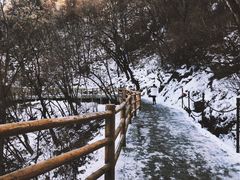 -少华山国家森林公园
