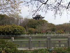 -范蠡湖公园