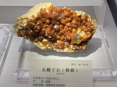 -湖南省地质博物馆