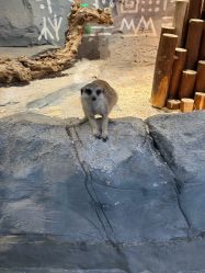 -Zoolung Zoolung动物主题公园(海信广场店)