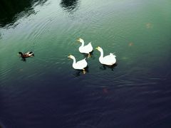 -西安汉城湖景区