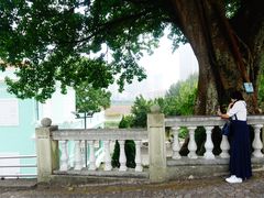 -龙环葡韵住宅式博物馆