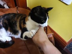 -仁普宠物诊所·中兽医·夜诊·狂犬免疫点(住友昌盛新苑店)