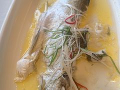 -聚鑫阁江浙菜·非遗传承技艺(青村帝华园店)