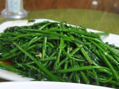 蒜蓉炒树仔菜-八仔大富楼·河鲜(西江店)