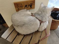 -冰拾叁(新都店)