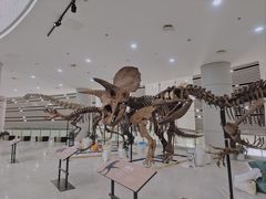 -中国港口博物馆