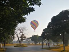 -万绿园