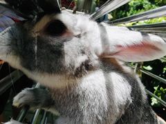 -贵州森林野生动物园
