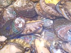 -三个渔夫·蒸汽海鲜(小白楼店)