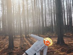 -黄海国家森林公园