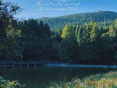 -武陵山森林公园