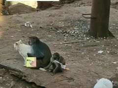 -昆明动物园
