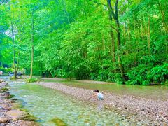 -青城山