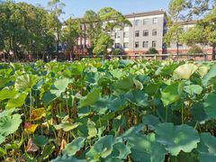 -四川大学(望江校区)