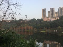 -重庆彩云湖湿地公园