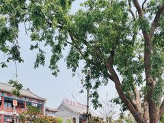 -泰山风景名胜区