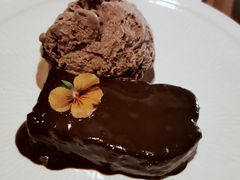 -百好乐宠物友好餐厅(朝外大街店)