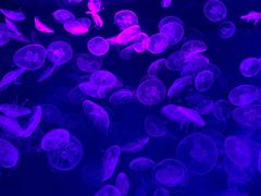 -沈阳海洋探索中心