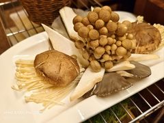 -友乐居羊蝎子(西直门店)
