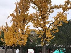 -晋祠公园