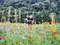 -贵阳市花溪国家城市湿地公园