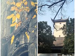 -苏州大学(天赐庄校区)