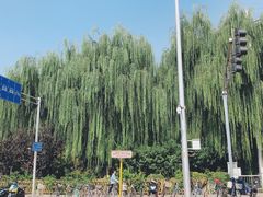 -护国寺小吃(新街口店)