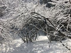 -庐山风景区花径公园