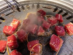 -猫抓烤肉(春熙路店)