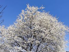 -名花谷生态庄园