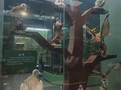 -国家自然博物馆