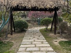 -武汉园博园(武汉自然博物馆)