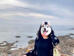 -兴城海滨风景区