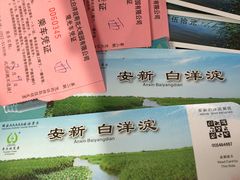 -白洋淀景区