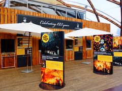 -怀托摩萤火虫洞