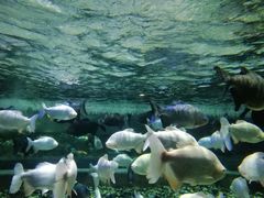 -成都浩海立方海洋公园