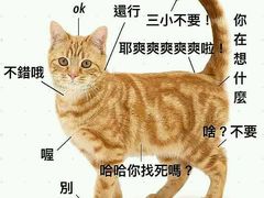 -如家酒店(武汉长江大桥钟家村地铁站店)