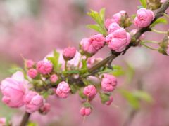 -东天目山风景区