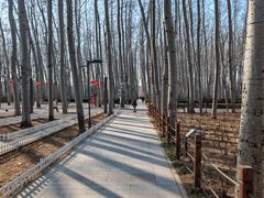 -仁和公园(顺义区)